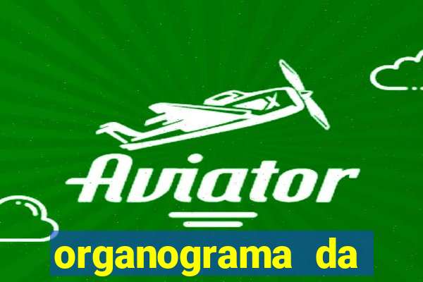 organograma da cacau show