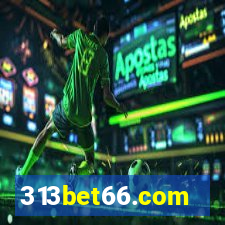 313bet66.com