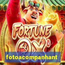 fotoacompanhante