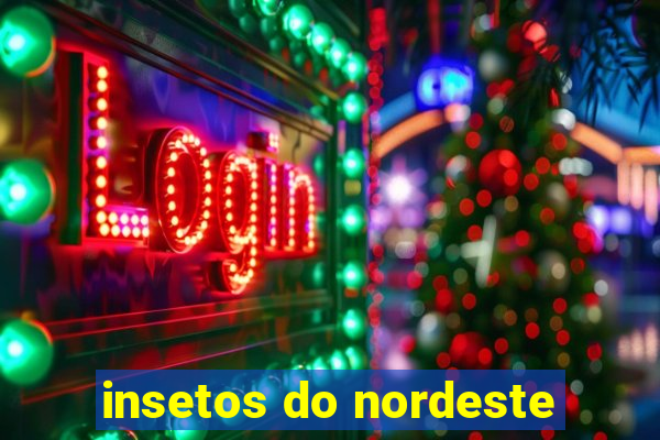 insetos do nordeste