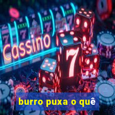 burro puxa o quê