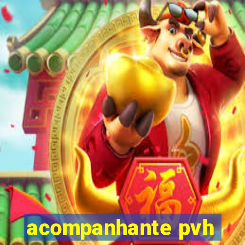 acompanhante pvh