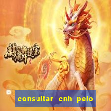 consultar cnh pelo cpf sp