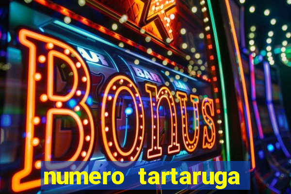 numero tartaruga jogo do bicho