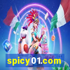 spicy01.com