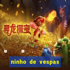 ninho de vespas significado espiritual