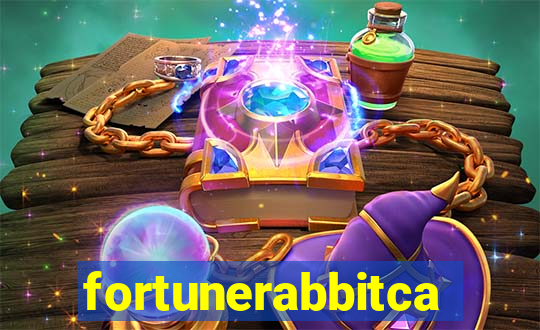 fortunerabbitcasino.online