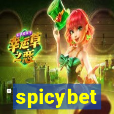 spicybet