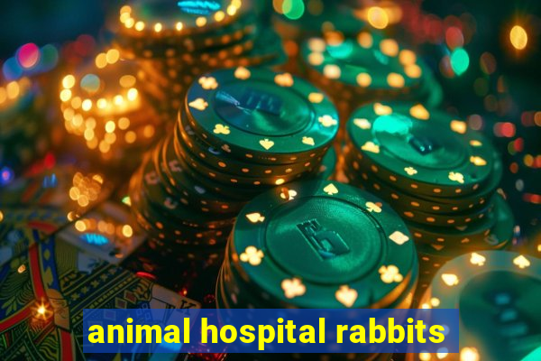 animal hospital rabbits