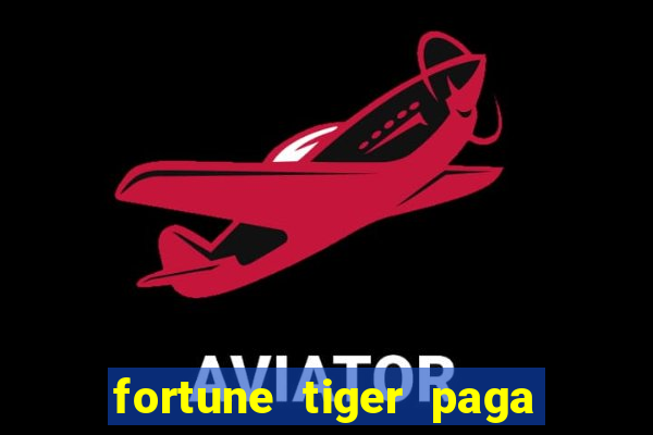 fortune tiger paga de madrugada